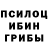 Галлюциногенные грибы прущие грибы EpiKuro