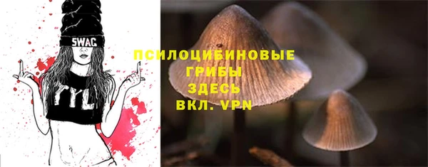 ECSTASY Алексин